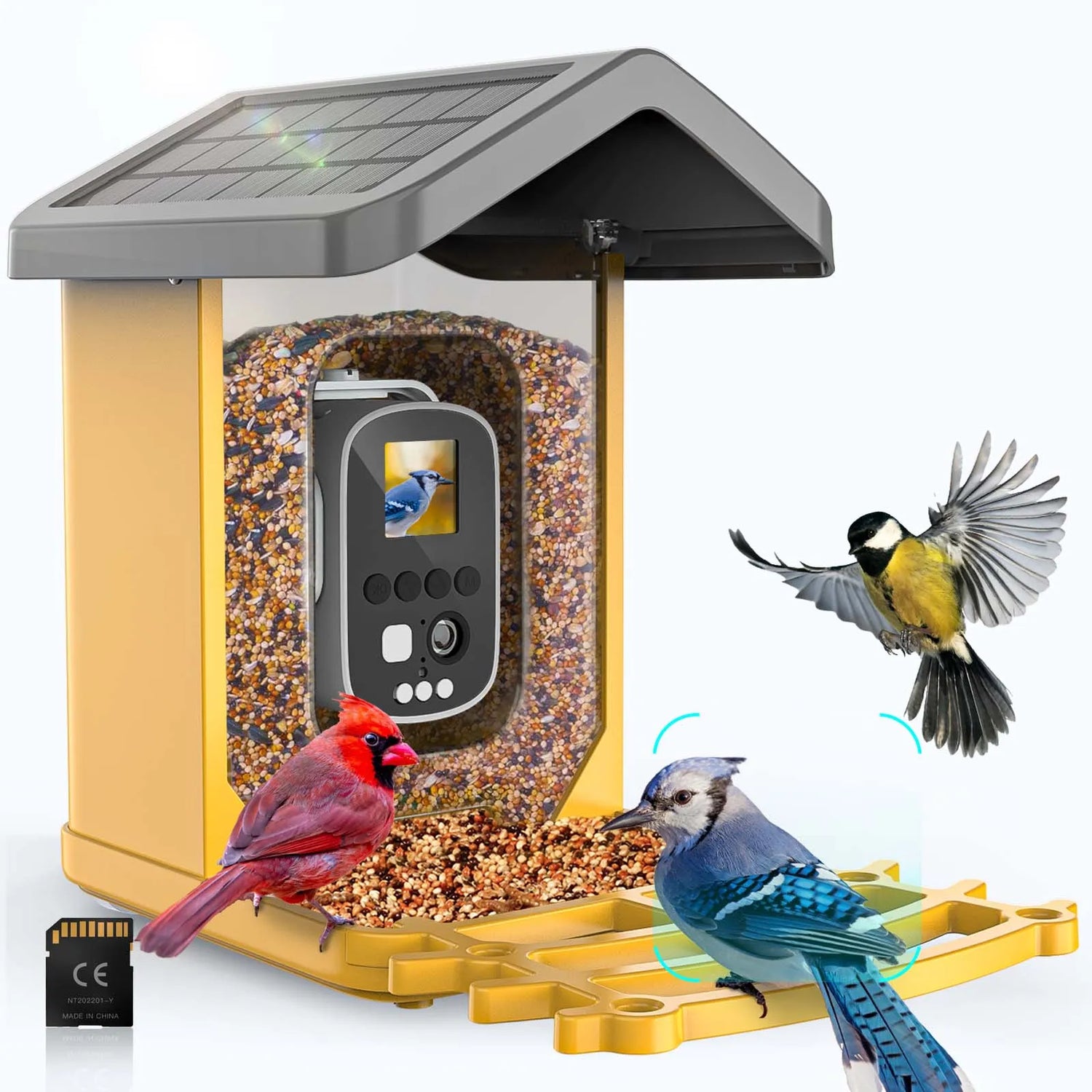Bird Feeders