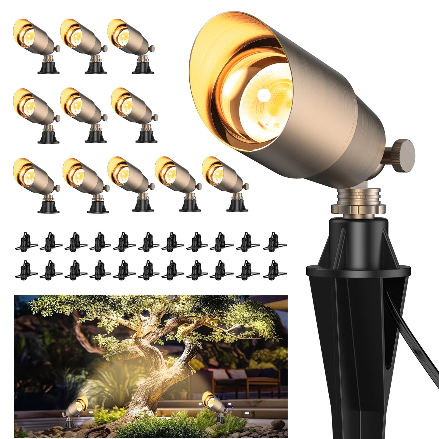 Garden Accent Lighting