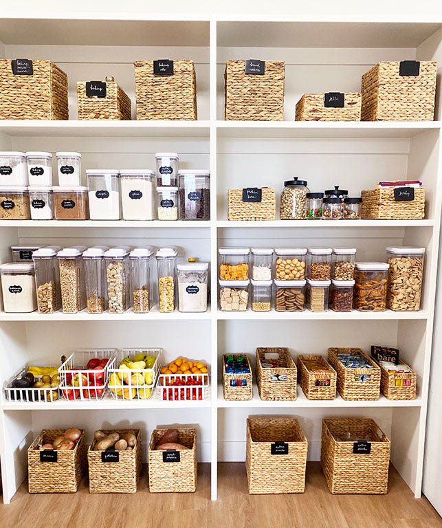 Organization and Storage